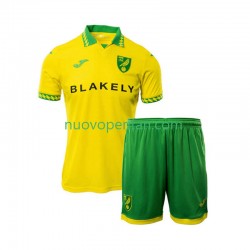 Maglie da Calcio Norwich City Bambino Prima Tenuta 2025-2026 Maniche Corte
