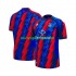 Maglie da Calcio Crystal Palace Uomo Alternativa Tenuta 2026-2027 Maniche Corte