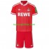 Maglie da Calcio FC Köln Bambino Alternativa Tenuta 2026-2027 Maniche Corte