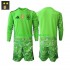 Maglie da Calcio Spagna Portiere Bambino Alternativa Tenuta 2026-2027 Maniche Lunghe