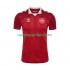 Maglie da Calcio Danimarca Uomo Prima Tenuta 2025 Maniche Corte