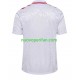 Maglie da Calcio Danimarca Uomo Trasferta Tenuta Euro 2024 Maniche Corte