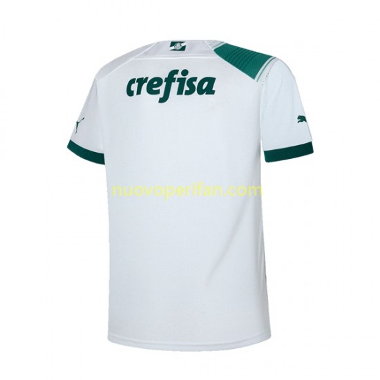 Maglie da Calcio Palmeiras Uomo Trasferta Tenuta 2023-2024 Maniche Corte