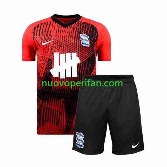 Maglie da Calcio Birmingham City Bambino Trasferta Tenuta 2023-2024 Maniche Corte
