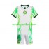 Maglie da Calcio Nigeria Bambino Trasferta Tenuta 2026 Maniche Corte
