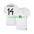 Maglie da Calcio Norvegia Julian Ryerson 14 Uomo Alternativa Tenuta Mondiali 2026 Maniche Corte