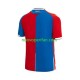 Maglie da Calcio Crystal Palace Uomo Prima Tenuta 2023-2024 Maniche Corte
