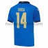 Maglie da Calcio Italia Federico Chiesa 14 Prima Tenuta Euro 2020 Maniche Corte