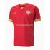 Maglie da Calcio Serbia Prima Tenuta Mondiali 2022 Manica Corta